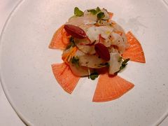 -蝶舍·MAISON PAPILLON