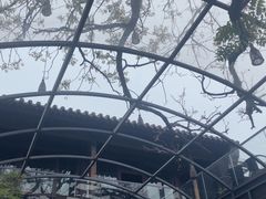 -zarah(鼓楼店)