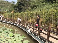 -白鹿原影视城