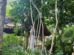 -海口观澜湖火山温泉谷