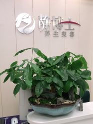 点击看大图 -静博士·养生养颜