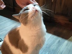 -后院儿·精酿·塔罗Happy Bar