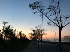 -南汇嘴观海公园