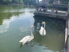 -千岛湖东南湖区