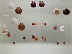 -青岛贝壳博物馆