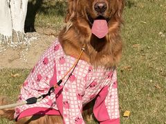 -杭州城北体育公园