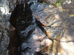 -花岩国家森林公园