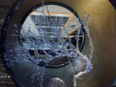 -红辣椒·川菜·火锅(张杨路店)