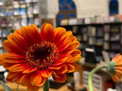 -思南书局·诗歌店