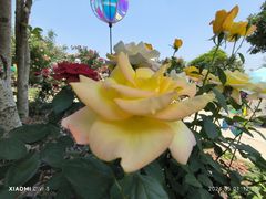 -祥源·阜阳生态乐园