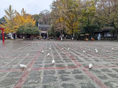-善卷洞风景区