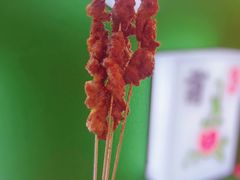 -沪小胖·小龙虾·蓝龙王(八佰伴店)