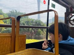 -广州都市观光巴士(粤陶巴)