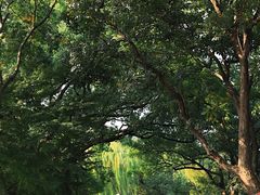 -苏堤停车场