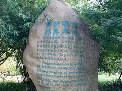 -吴淞炮台湾湿地森林公园烧烤区