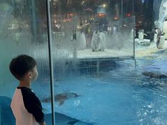 -帝企鹅自助餐厅•儿童岛•真企鹅(长隆企鹅酒店)