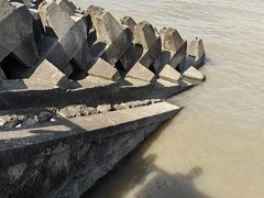 -上海滨江森林公园