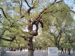 -北陵公园