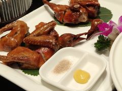红烧乳鸽-金汇酒楼(中山东区店)