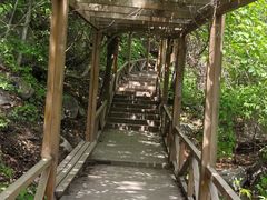 -大岭沟猕猴桃谷风景区