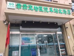 -乖乖宠物医院·猫科·急重症中心(车站北路分院)