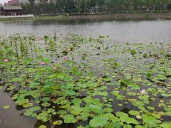 -西海子公园