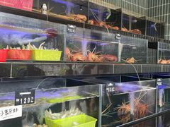 -真浪花园海鲜餐馆