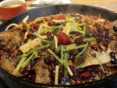 -老板恋上鱼(恒隆广场店)