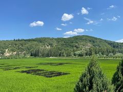 -南泥湾风景区
