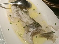 -新天明砂锅鱼头煲