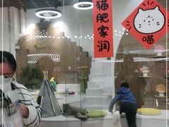 -COLOR PETS 撸猫馆·购猫·猫咖(长风大悦城店)