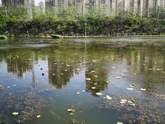-前关湿地公园