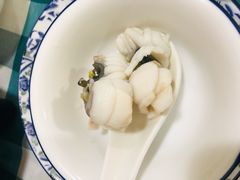 -中山脆肉鲩(新圳东路店)