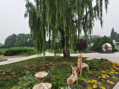 -国家植物园南园