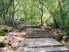 -灵岩山风景区