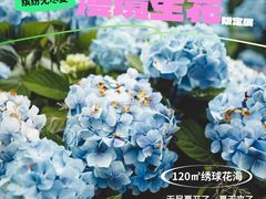 -HALO广场(梨园路店)