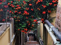 -观象山公园