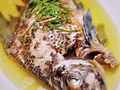 鸡汁蒸胭脂鱼-名豪品鲜荟(云亭店)