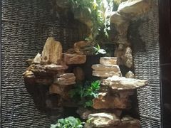-不老溪贵州菜(广安门总店)