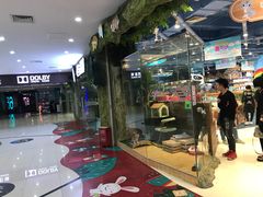 -龟与熊猫宠物公园(南坪店)