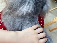 -萌兽医馆·宠物医院·猫骨科(创景店)