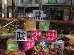 -共青国家森林公园-停车场