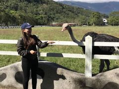 -瑞穗牧场