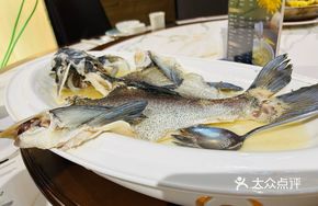 Mountain Cloud Tuna Fish