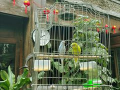 -束河人家(南锣鼓巷店)