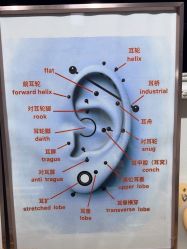 -AI艾耳·专业手工耳洞·穿孔美学馆