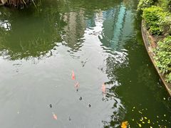 -九龙公园