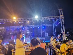 -渔家火锅·海鲜自助餐·演艺(亚龙湾天域酒店)