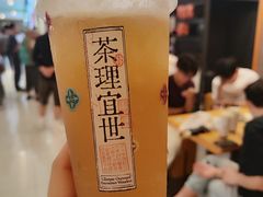 -岭南站NOVA