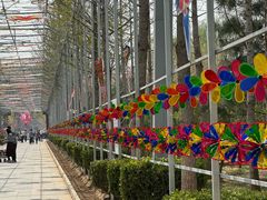 -南宫五洲植物乐园